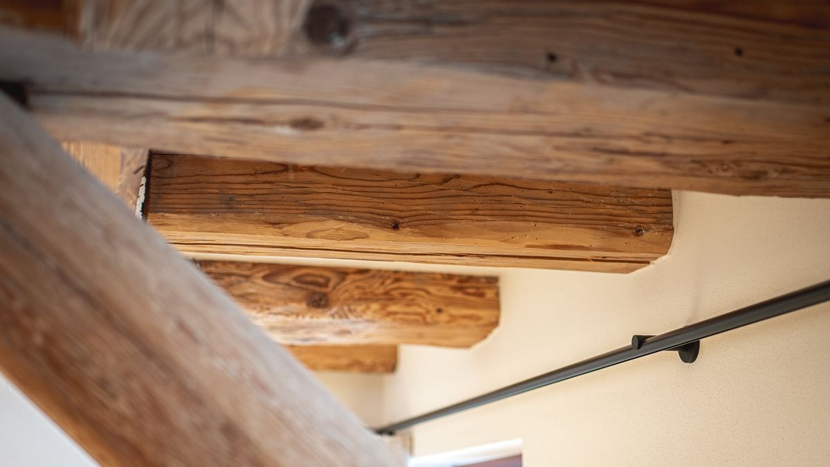 Basislager - Bild 6 von 6