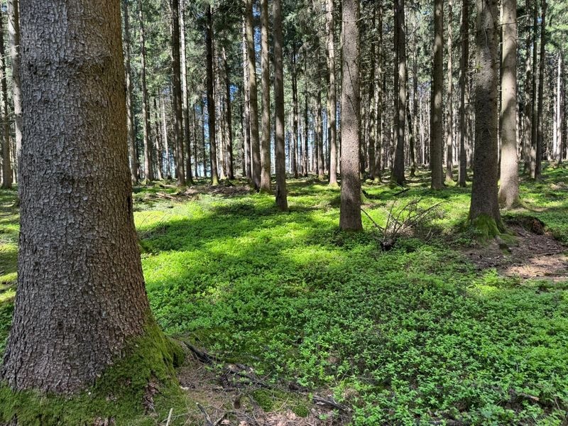 tobel1853 Einblick - Zusammenkommen